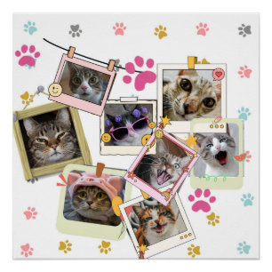 Cute and funny cat collage design poster