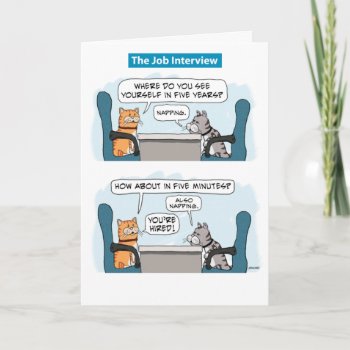 Cute And Funny Cat Job Interview Birthday Card by chuckink at Zazzle