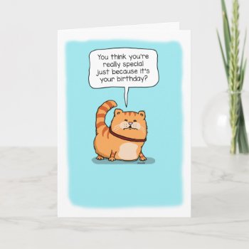 Cute And Funny Cat Really Special Birthday Card by chuckink at Zazzle