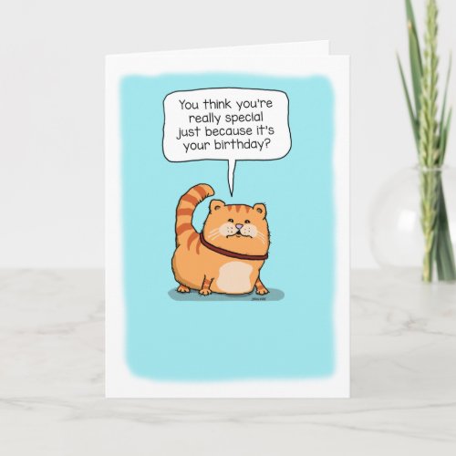 Cute and Funny Cat Really Special Birthday Card