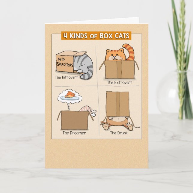 Cute and Funny Cats in Boxes Birthday Card (Front)