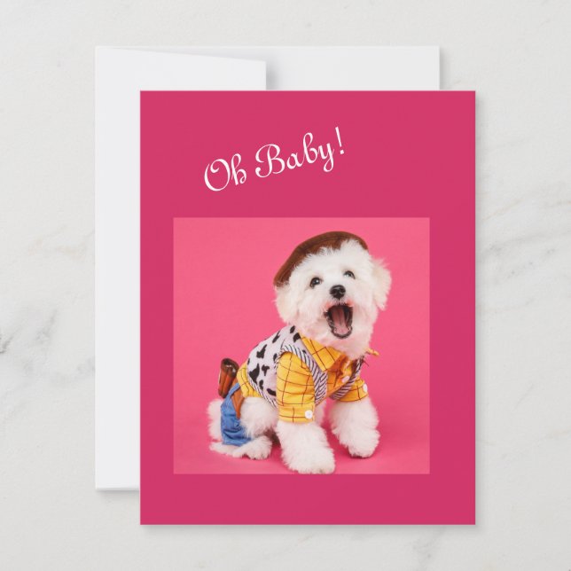 Cute and funny dressed maltese     note card (Front)