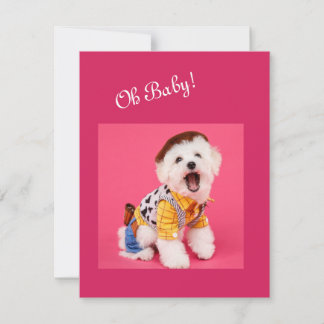 Cute and funny dressed maltese note card