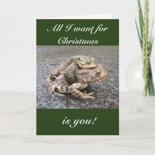 Cute and funny frog/toad Christmas greeting card! Holiday Card
