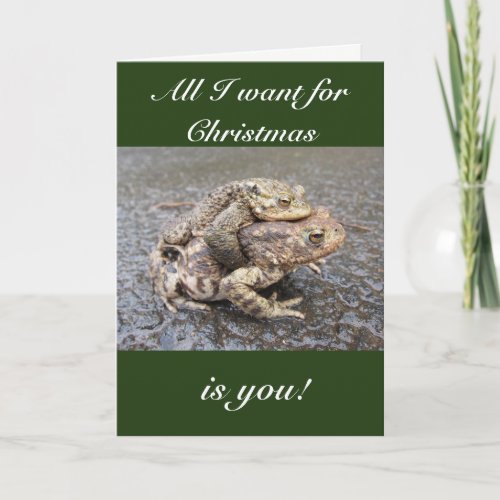 Cute and funny frogtoad Christmas greeting card Holiday Card