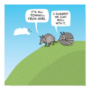 Cute and Funny Just Roll With It Armadillos Poster