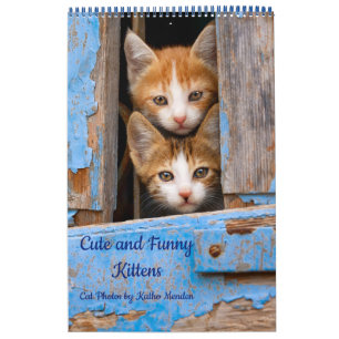 Cute and Funny Kittens Cat Photo Calendar