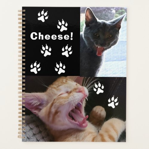 Cute and Funny Laughing Cats  Planner