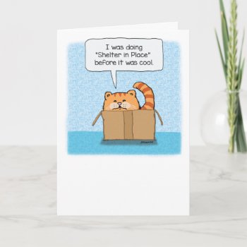 Cute And Funny Shelter In Place Cat Card by chuckink at Zazzle