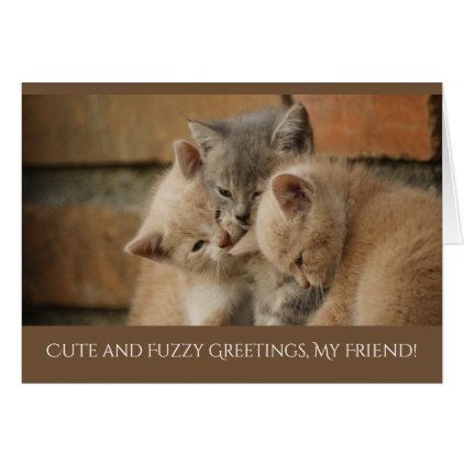 Cute and Fuzzy Kittens Friends Greeting Card