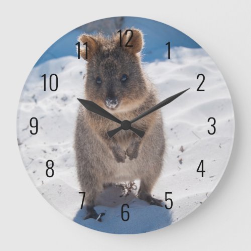 Cute and happy Quokka on the beach in Australia Large Clock