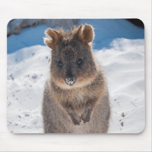 Cute and happy Quokka on the beach in Australia Mouse Pad