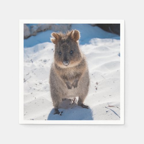 Cute and happy Quokka on the beach in Australia Napkins