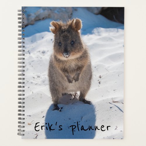 Cute and happy Quokka on the beach in Australia Planner