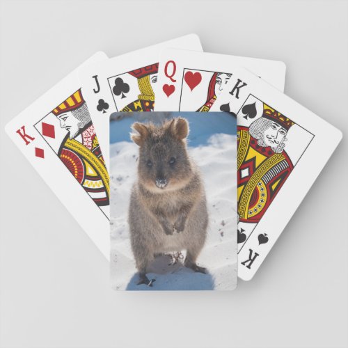 Cute and happy quokka on the beach in Australia Playing Cards