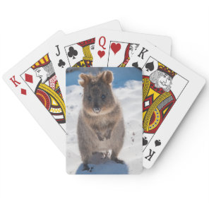Cute and happy quokka on the beach in Australia Poker Cards