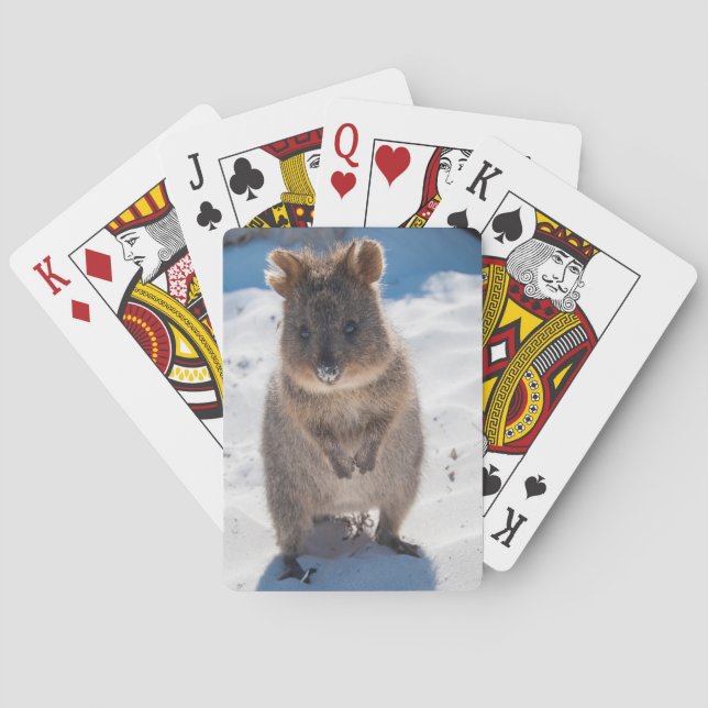 Cute and happy quokka on the beach in Australia Poker Cards (Back)