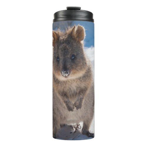 Cute and happy Quokka on the beach in Australia Thermal Tumbler