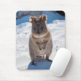 Cute and happy Quokka on the beach vertical Mouse Pad