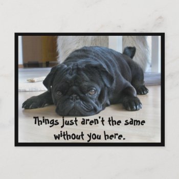 Cute And Lazy Black Pug Puppy Postcard by LittleThingsDesigns at Zazzle