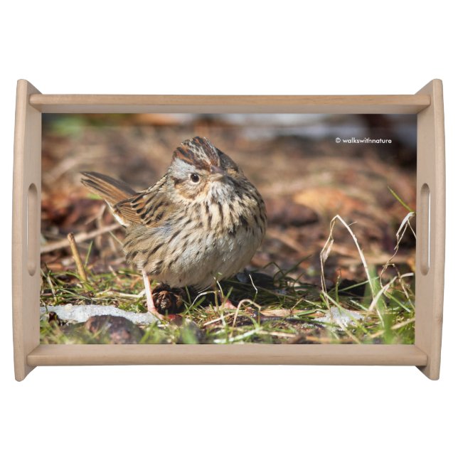 Cute and Spunky Lincoln's Sparrow Serving Tray (Front)