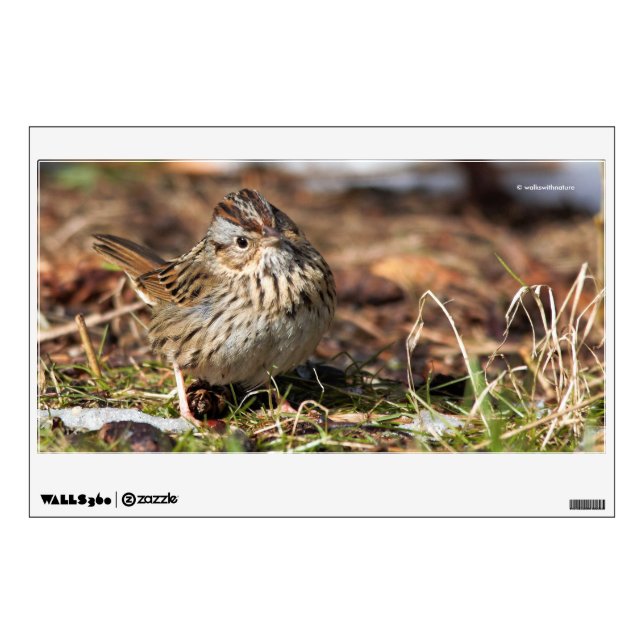 Cute and Spunky Lincoln's Sparrow Wall Decal (Front)