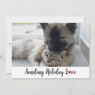 Cute and Sweet Puppies Sending Holiday Love