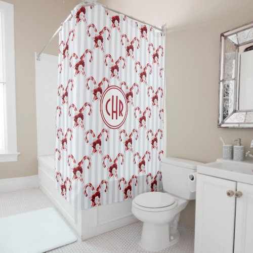 Cute and Whimsical Candy Cane Shower Curtain