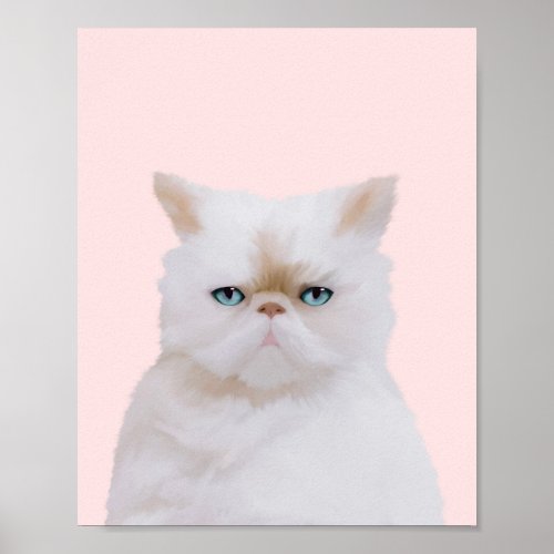 Cute Angry Fluffy Pink White Kitty Cat Portrait Poster