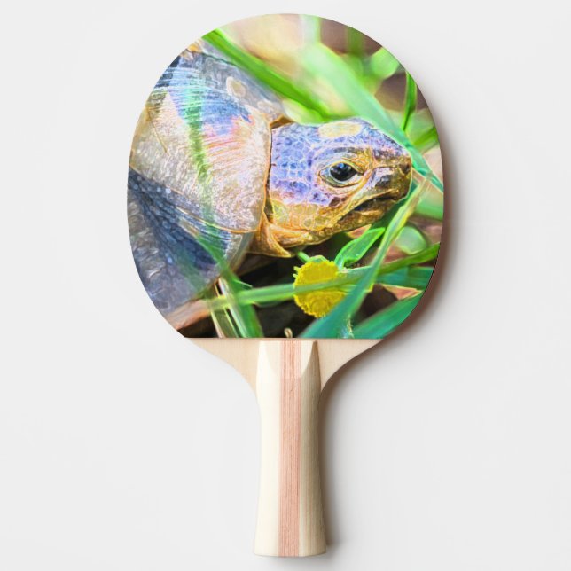 Cute Angulate Tortoise South Africa Details Ping Pong Paddle (Front)