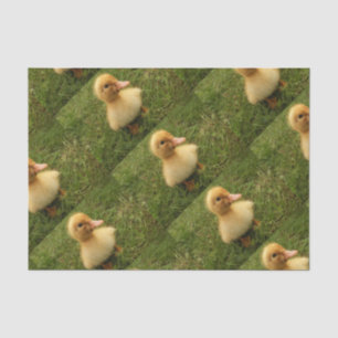 cute animal kids on delicate paper