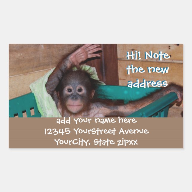 Cute Animal New Address Labels (Front)
