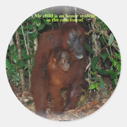 Cute Animal Orangutan Jungle Family Classic Round Sticker