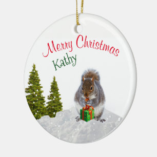 Cute Animal Ornament / Christmas Squirrel