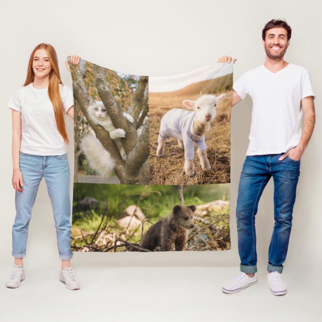 cute animal photos blanket (In Situ)
