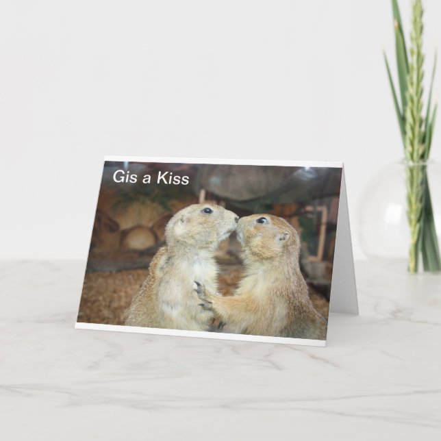 cute animal photos card (Front)