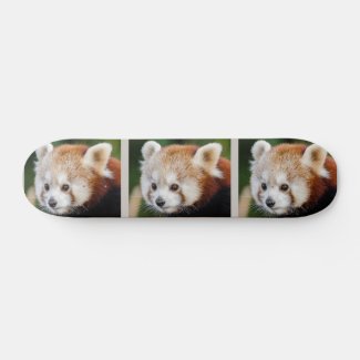 Cute Animal Red Panda Skateboard