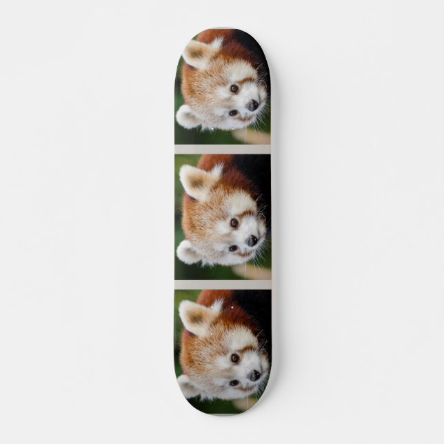 Cute Animal Red Panda Skateboard (Front)