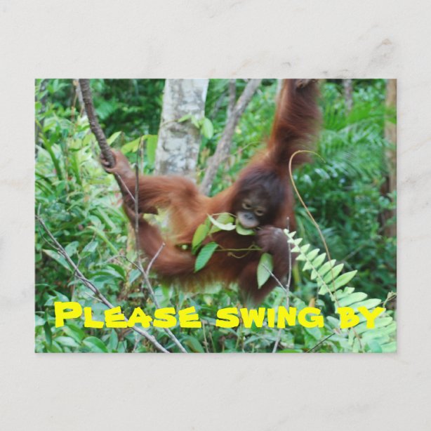 Swingers Party Invitations  Zazzle