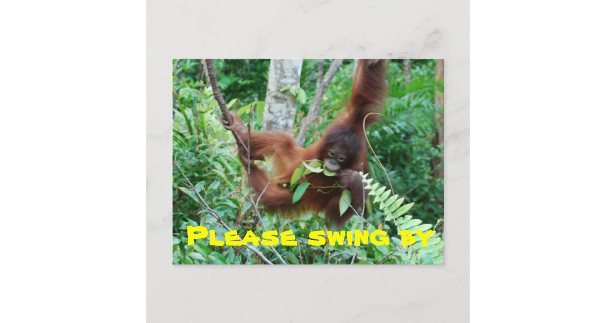 Cute Animal Swingers Party Invitation Zazzle picture picture