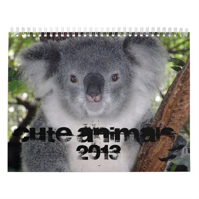 CUTE ANIMALS 2013 CALENDAR (Cover)