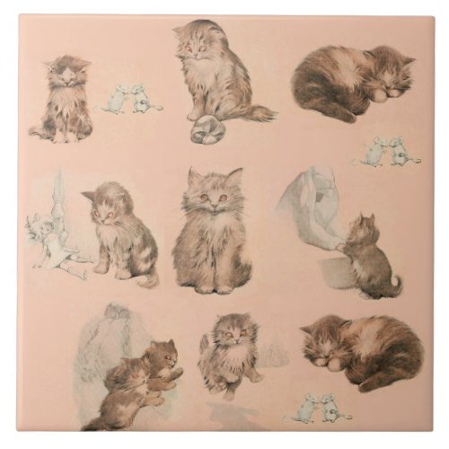 CUTE ANIMALS  CAT AND MOUSE STORIES IN PINK CERAMIC TILE