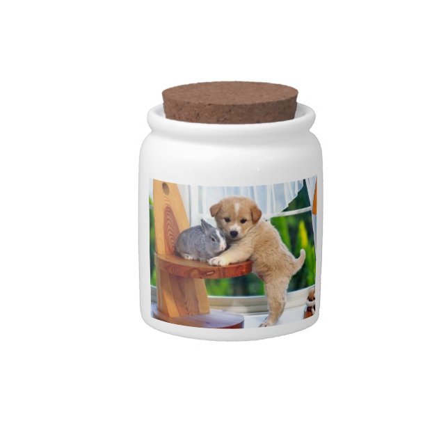 Cute Animals Cookie Jar (Front)