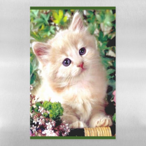 Cute Animals Magnetic Dry Erase Sheet