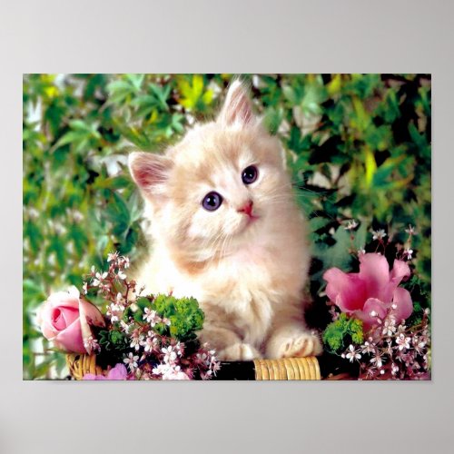Cute Animals Poster