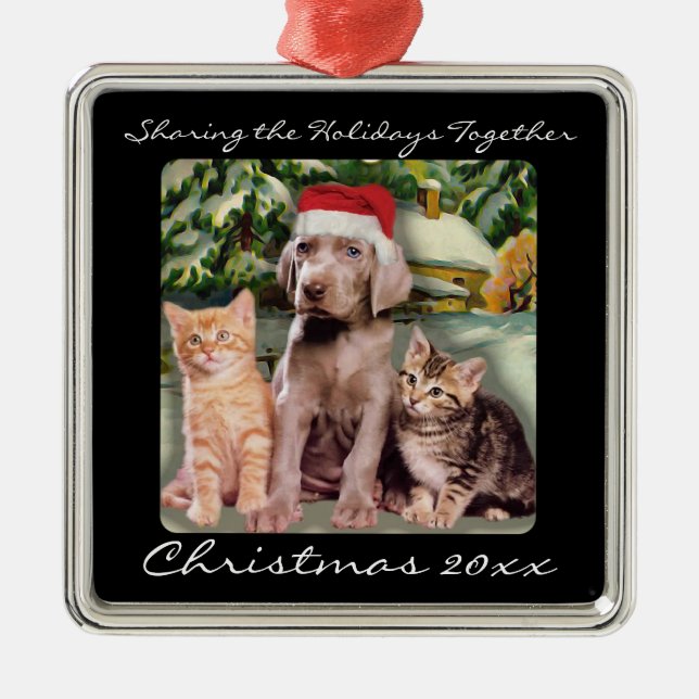 Cute Animals Puppy & Kittens Pet Personalized Metal Ornament (Front)