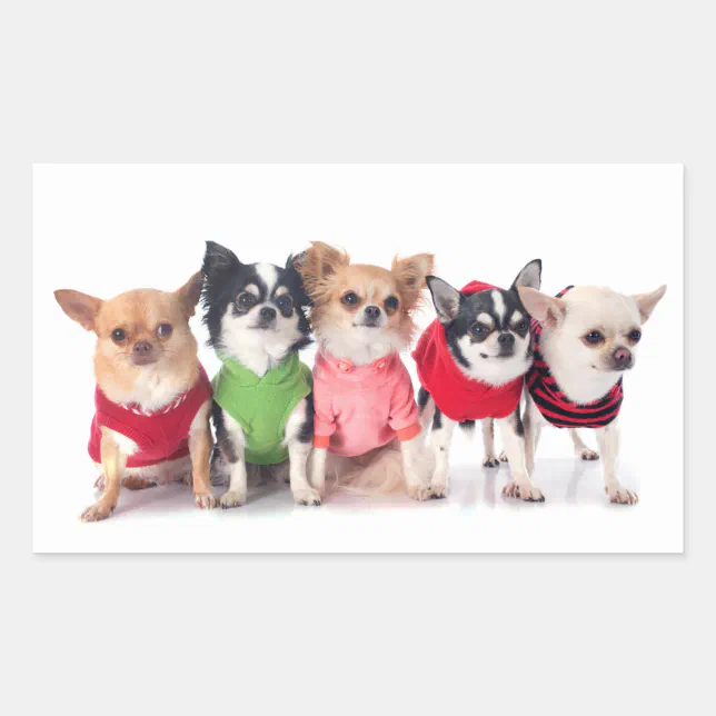 Rectangular Sticker Animals Cute Animals Rectangular Sticker | Zazzle