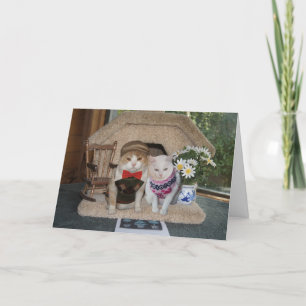 Cute anniversary with cats in argyle sweaters card