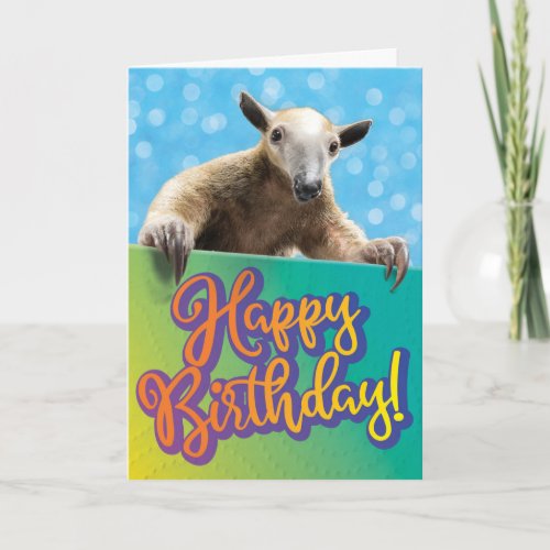 Cute Ant Eater Funny Belated Birthday Card