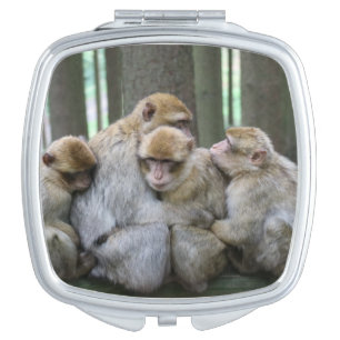Cute Ape Family Group Hug Photograph Compact Mirror
